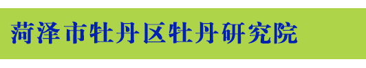 牡丹,芍药,鲜切花,牡丹栽培,牡丹销售,菏泽牡丹,中国牡丹-菏泽市牡丹研究院