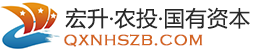 黔西南州宏升资本营运有限责任公司