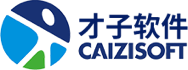 四川才子软件信息网络有限公司[官方网站]才子软件|绵阳才子|绵阳网络教育|绵阳软件开发|绵阳系统集成