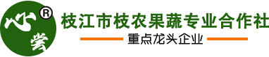 宜昌蜜桔_秭归脐橙_九月红_宜昌柑橘_枝江蜜桔_宜昌柑桔打蜡加工 - 枝江市枝农果品专业合作社