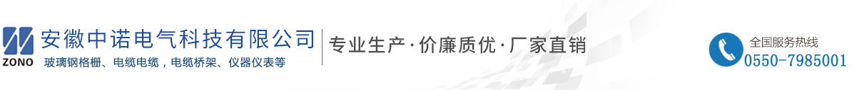 安徽中诺电气科技有限公司【官方】